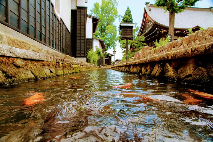 Private Tour Kanazawa, Shirakawago, Hida Furukawa,Takayama