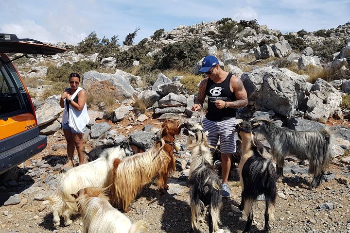 Sarakina Gorge, Kritza, Oliveoil Tasting, Mountains, South Coast