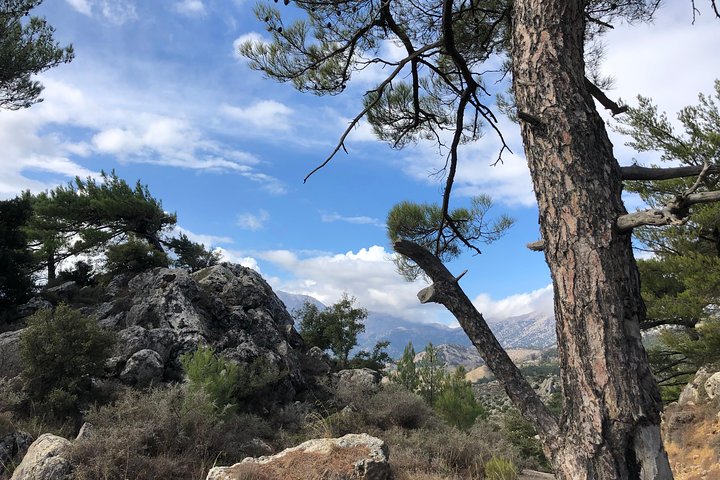 Sarakina Gorge, Kritza, Oliveoil Tasting, Mountains, South Coast