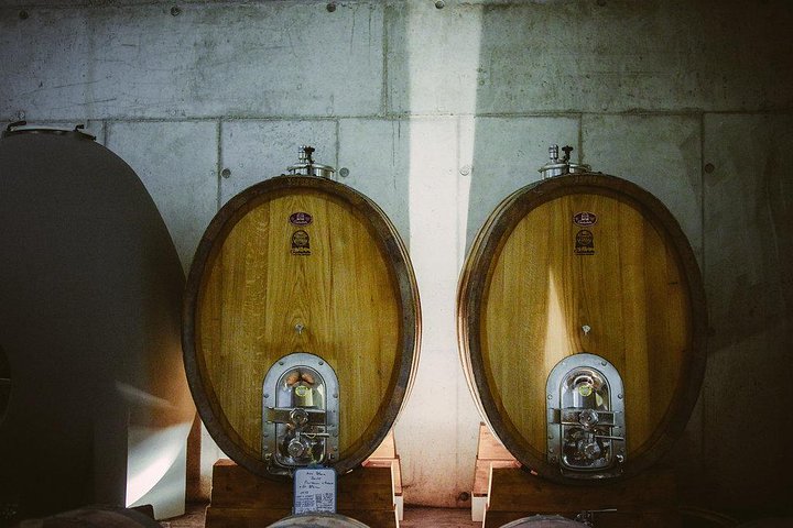 tour to Sete, an oyster farm & Wine Tasting