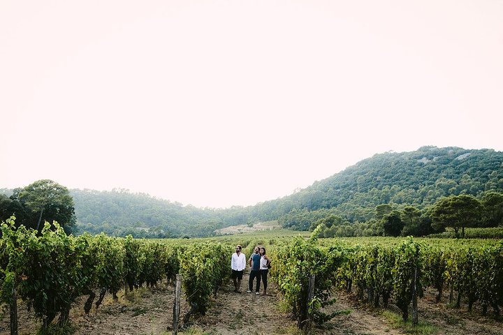 Bertrand Bosc wine and food tour in Pic St Loup