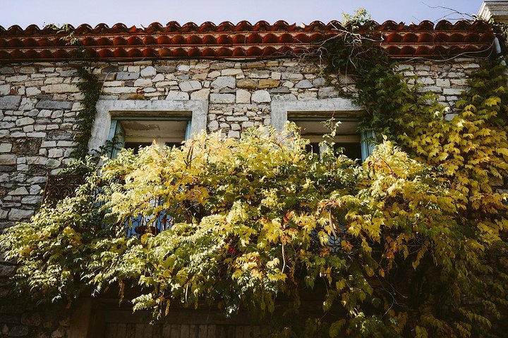 Bertrand Bosc wine and food tour in Pic St Loup