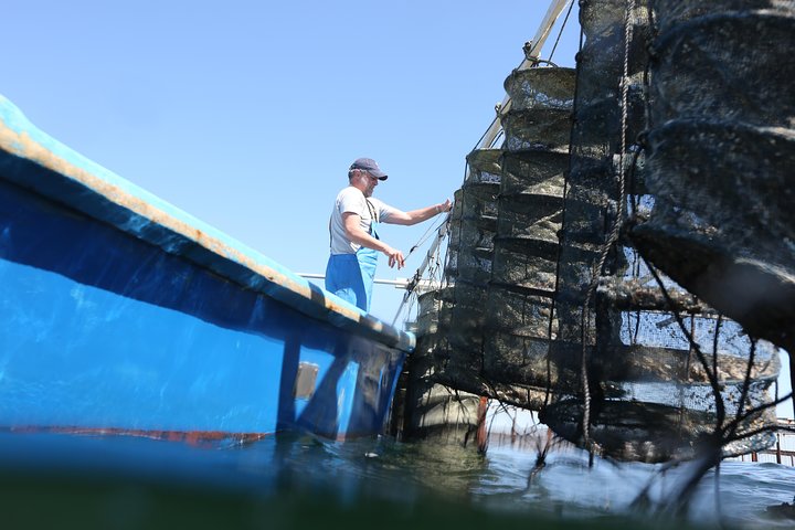 tour to Sete, an oyster farm & Wine Tasting