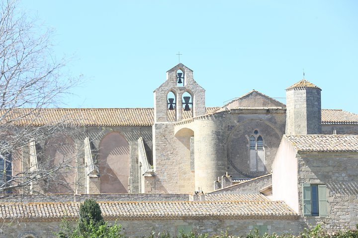 tour to Sete, an oyster farm & Wine Tasting