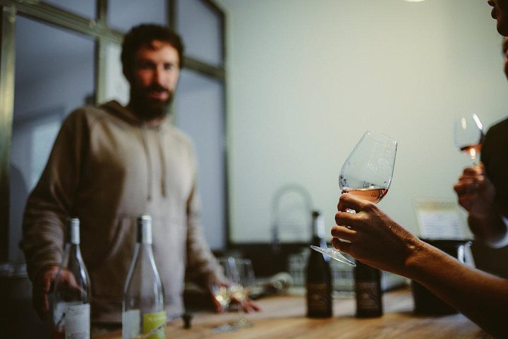 tour to Sete, an oyster farm & Wine Tasting