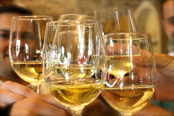 Alicante Winery Small Group Tour with Wine Tasting
