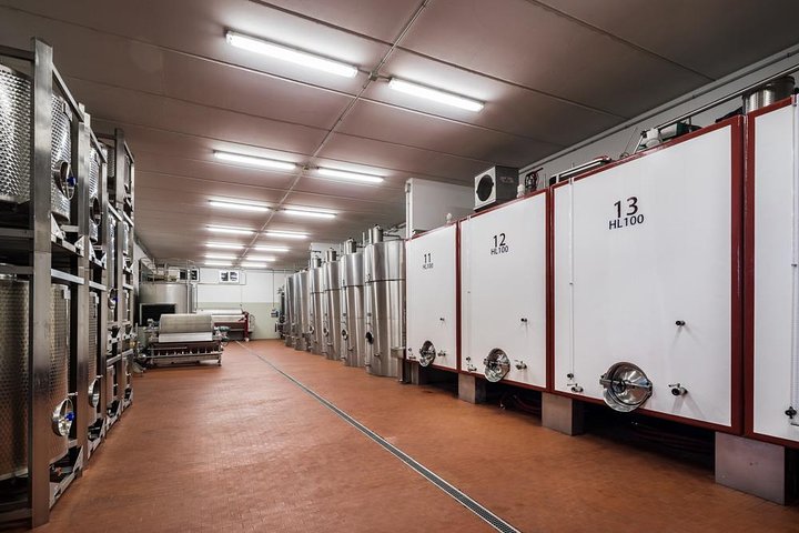 Winemaker for a Day: Tour an Organic Winery