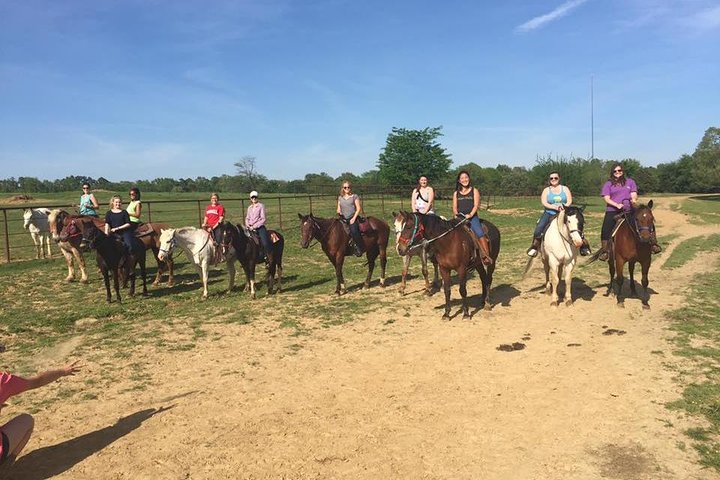 Memphis 1 hour Horseback Trail Ride