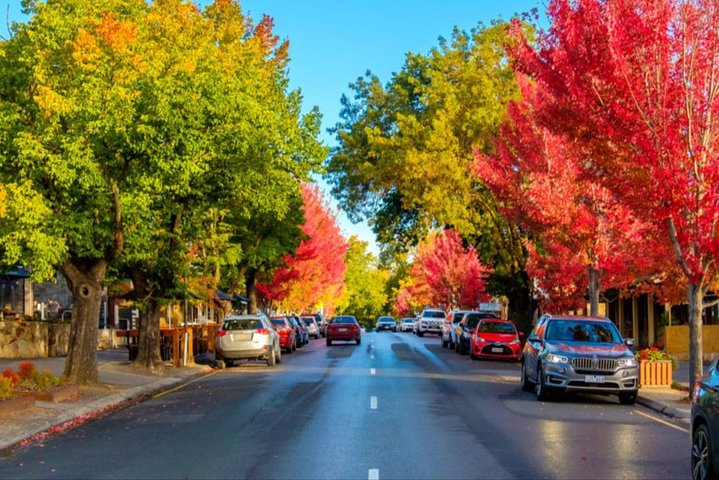 Best of Adelaide- City Highlights (half-day Tour)