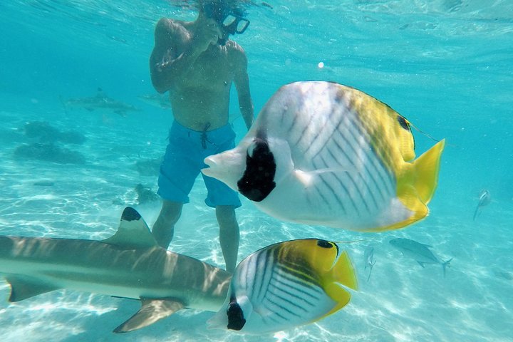 Moorea Solo or Twin 3 hours Jet Ski Tour