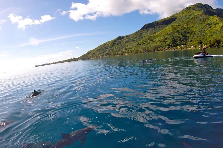 Moorea Solo or Twin 3 hours Jet Ski Tour