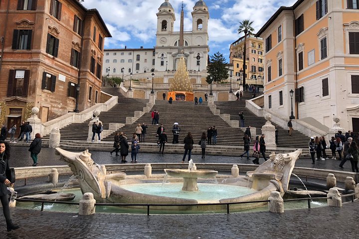 VIP Tour of Rome (3/5/8hrs) Colosseum & Vatican Museums