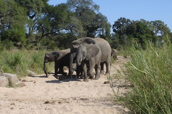 4-Day Best Of eSwatini Tour- The African experience