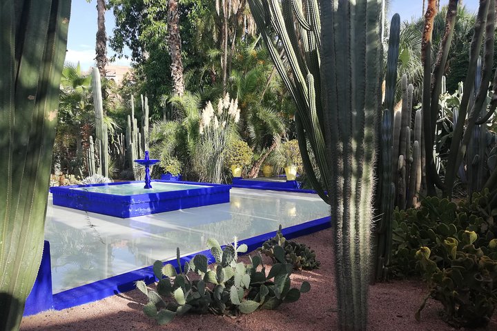 Marrakech: Private Guided Half-Day City Tour