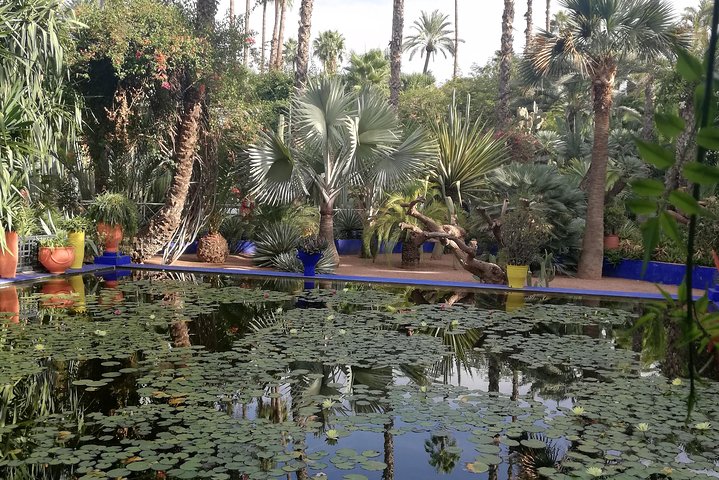 Marrakech: Private Guided Half-Day City Tour