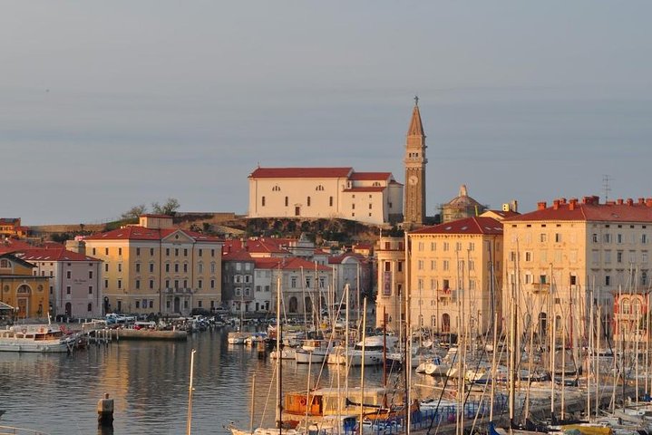Piran and Scenic Slovenian Coast-Private Experience from Koper