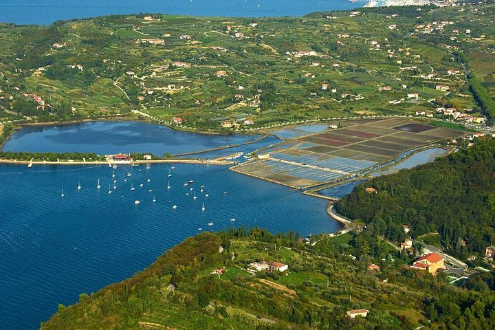 Piran and Scenic Slovenian Coast-Private Experience from Koper