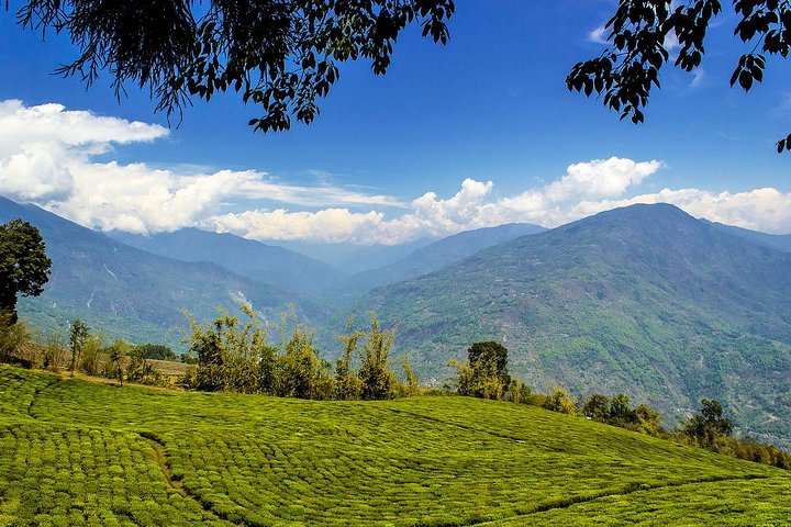 A Full Day Tour Of Darjeeling