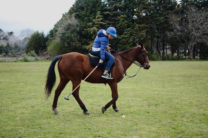 Polo day in Pilar, Buenos Aires