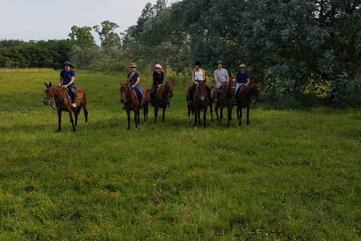 Polo day in Pilar, Buenos Aires