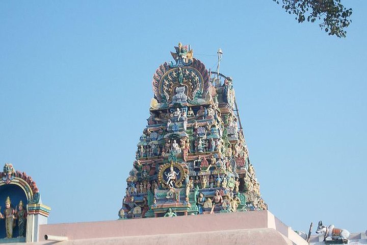 Explore Palani Murugan Temple From Coimbatore