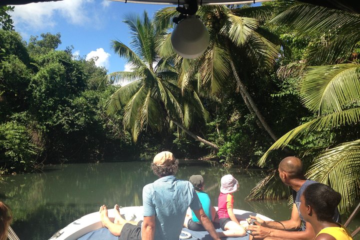 Visite guidée en français en bateau : Mangrove, ilets, snorkeling