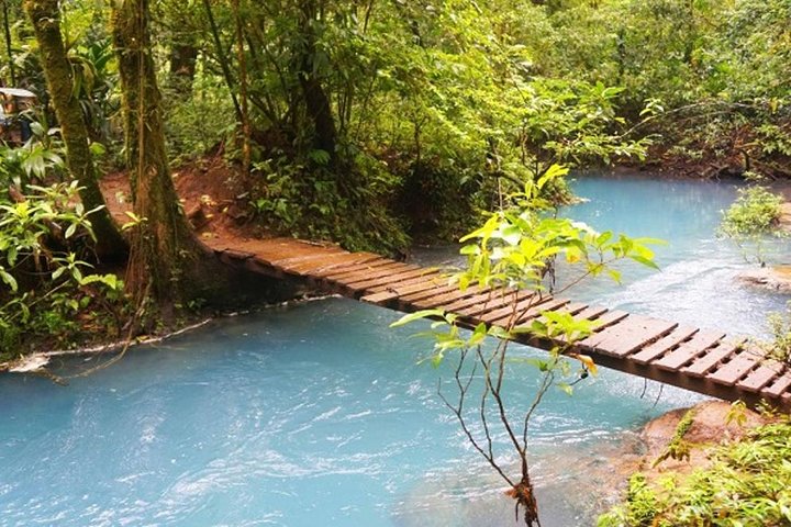 Rio Celeste Hiking, Sloth Sanctuary & Llanos de Cortes Waterfall Tour