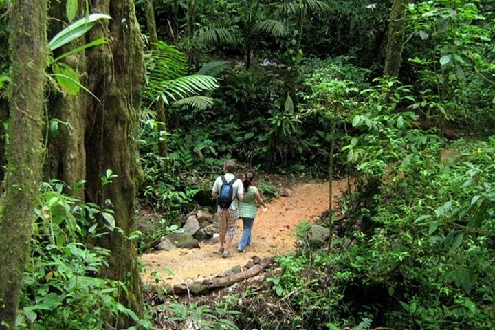 Rio Celeste Hiking, Sloth Sanctuary & Llanos de Cortes Waterfall Tour