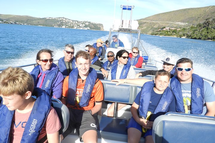 Whale Watching Knysna - Close Encounter Experience Ocean Odyssey