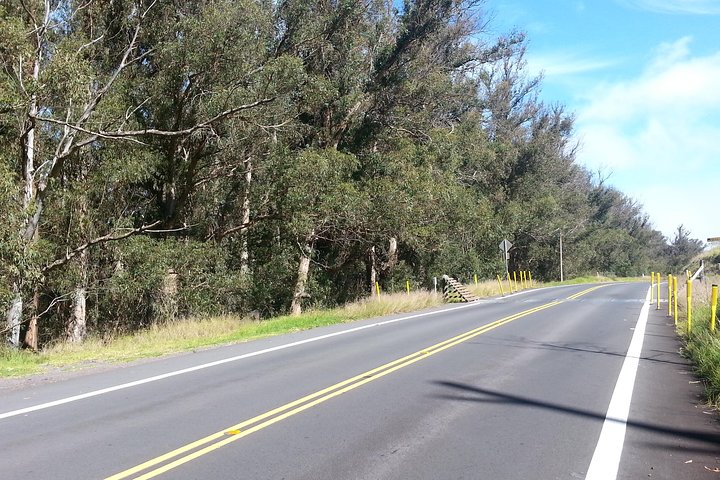 Private Tour: Road To Hana Tour from Kahului
