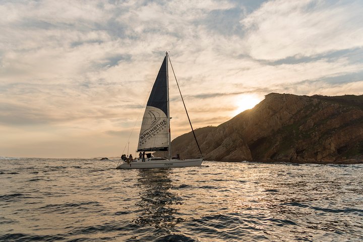 Knysna Sunset Sailing Cruise, Light Dinner & Bubbly