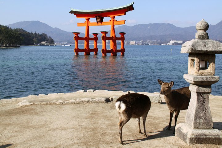 Peaceful Hiroshima & Miyajima UNESCO 1 Day Bus Tour