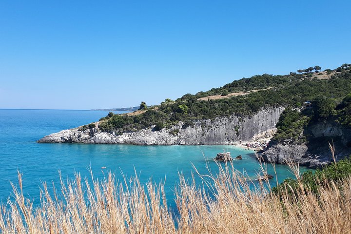 Zakynthos : One day small group tour to Navagio beach Blue Caves & top view