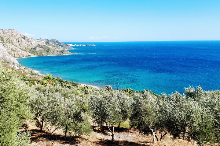Zakynthos : One day small group tour to Navagio beach Blue Caves & top view