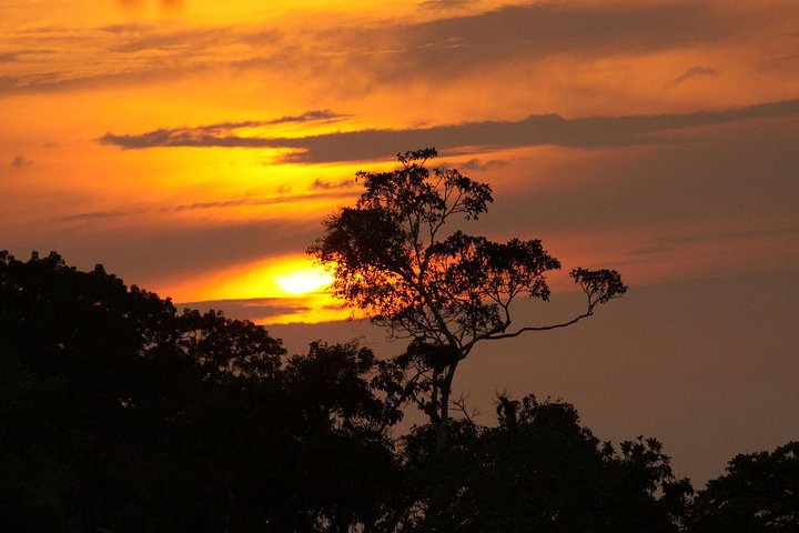 5-Day Amazon Cuyabeno & Papallacta Adventure