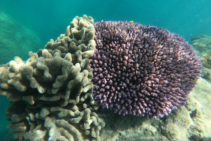 Whitehaven Beach Tour: 2 Options - All Day Beach Or Snorkel