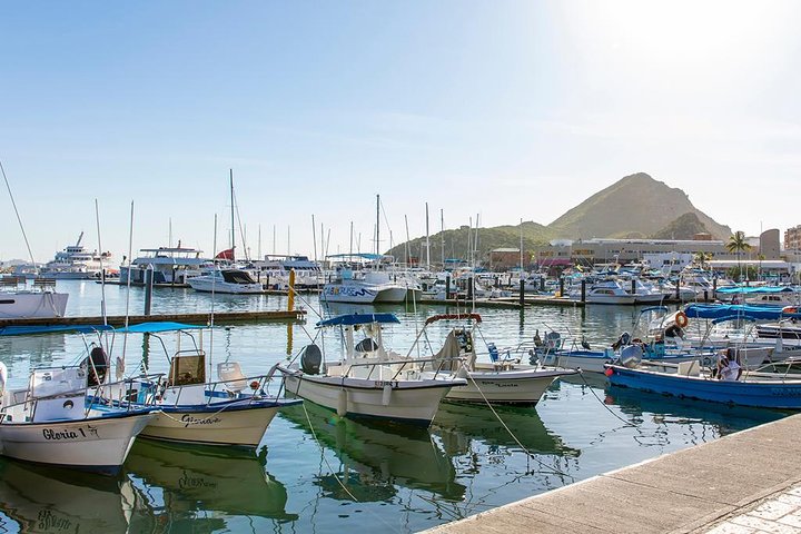 Land’s End Experience – Arch, Beaches & Marine Life