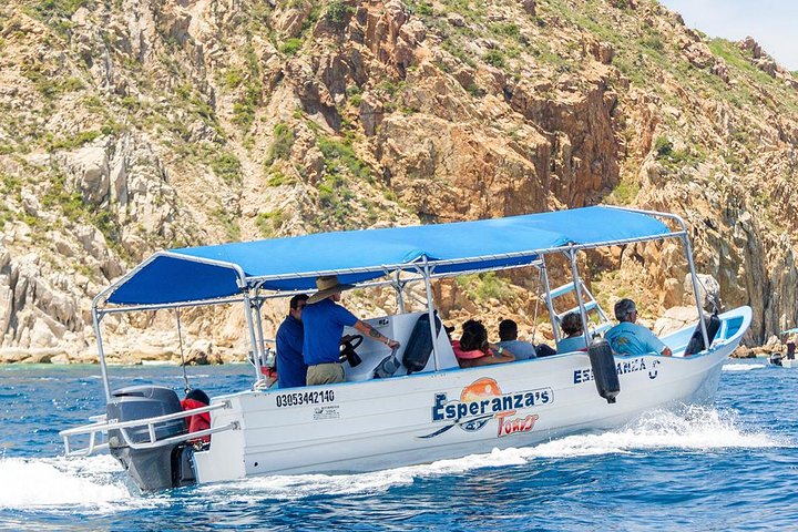 Land’s End Experience – Arch, Beaches & Marine Life