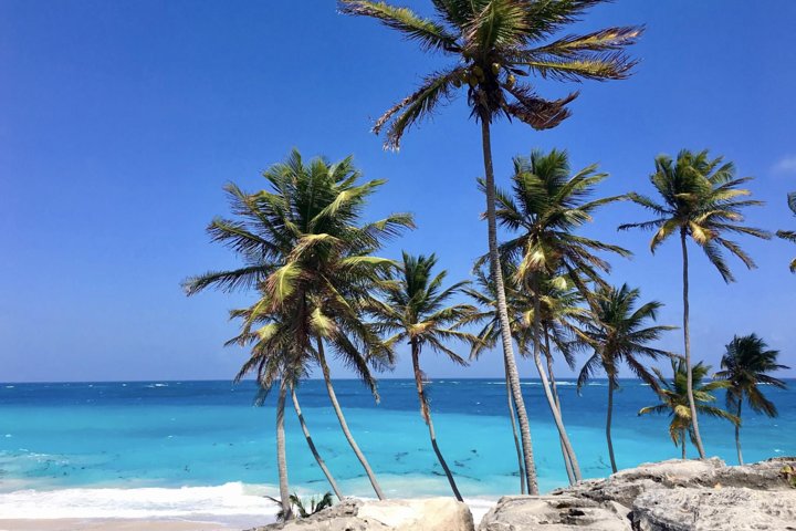Private Half-Day Barbados Excursion