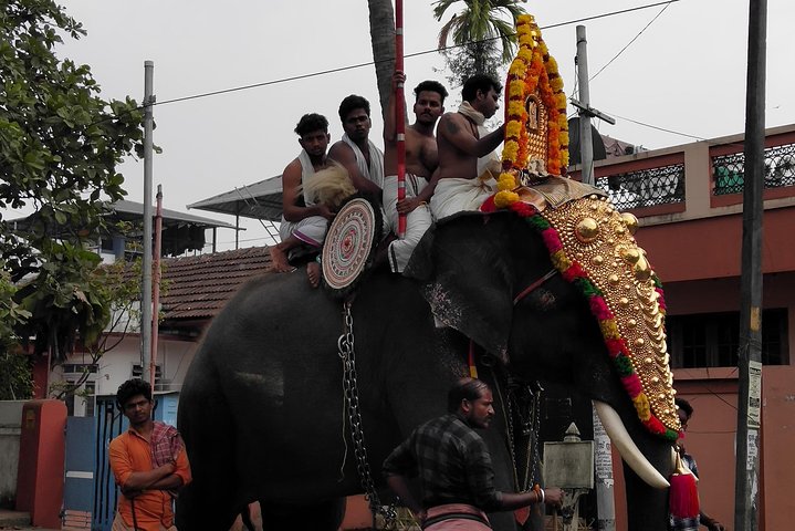 Kochi Tour Guide -A Heritage walking tour in Fort kochi and Mattancherry !