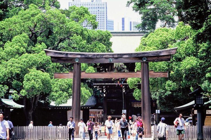 1-Day Tokyo Bus Tour