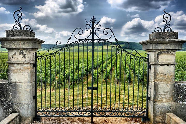 Saint Emilion Day Trip with Sightseeing Tour & Wine Tastings from Bordeaux