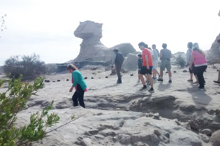 Ischigualasto National Park - Moon Valley