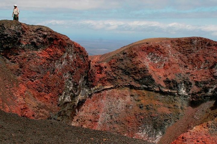 Sierra Negra Volcano Walking Tour in Isabela Island (shared)
