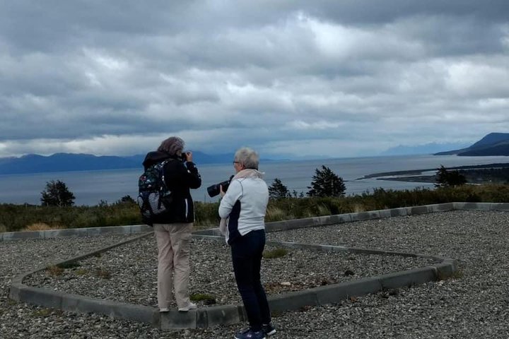 Punta Arenas and Magellan Strait Tour