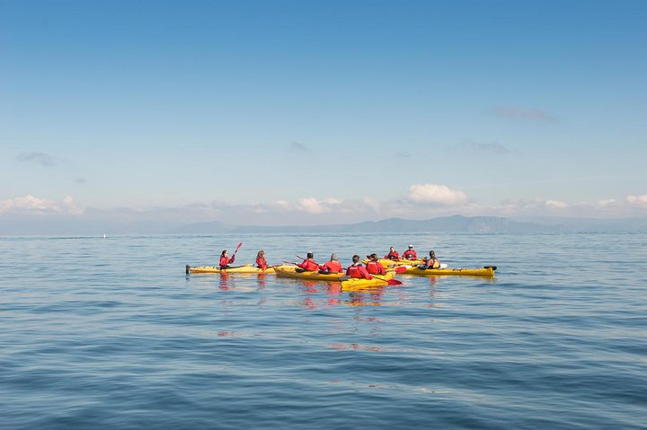 The Maori Carvings Half Day Kayak