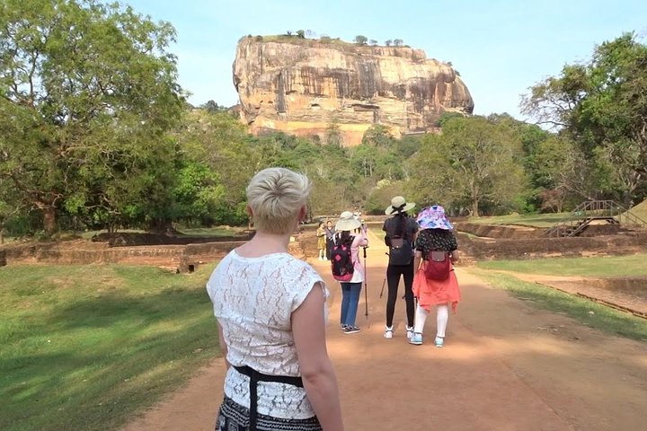 Sigiriya Rock & Dambulla Cave Temple Private Guided Day Trip