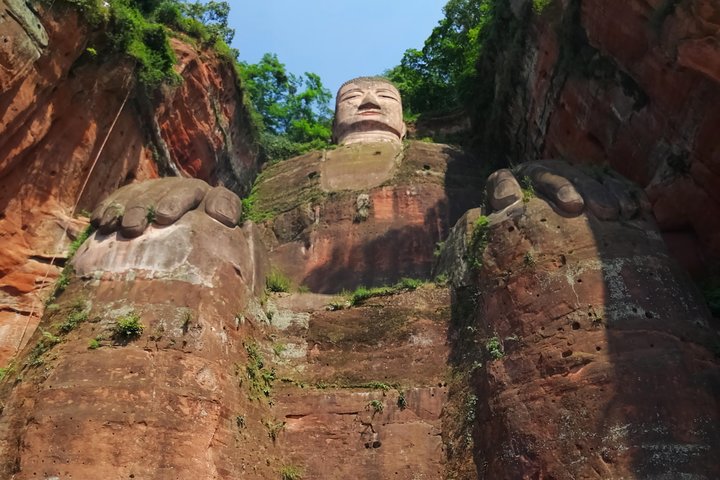 Giant Panda and Buddha 1 day tour