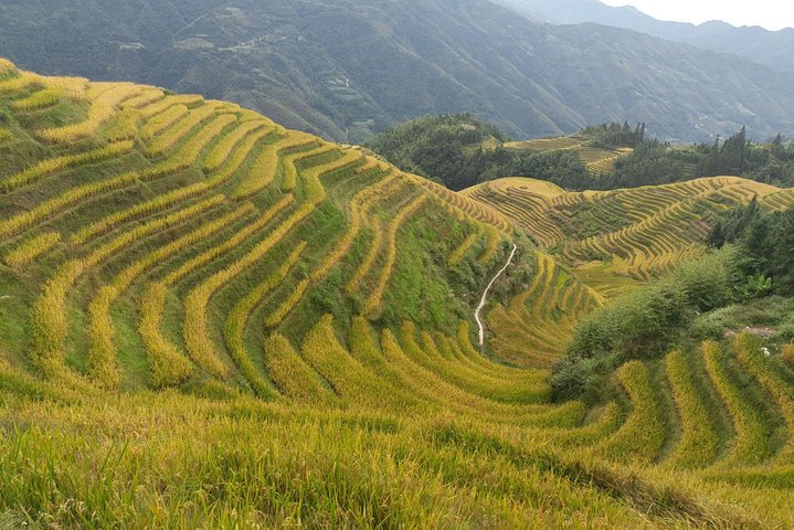Private Transfer from Fenghuang to Guilin and stops at Longji Terraces