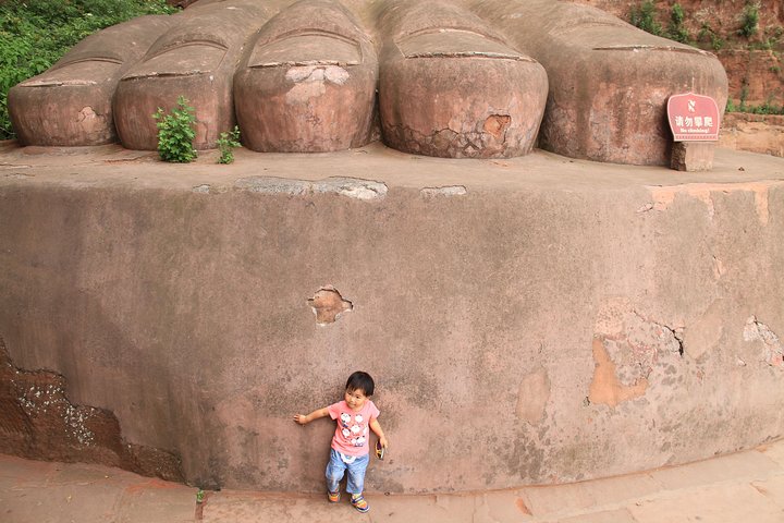 1-Day Chengdu Panda Base and Leshan Giant Buddha Private Tour with the Lunch